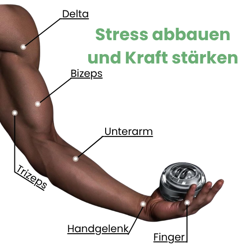 SchwungBall Pro | SchwungGeist™