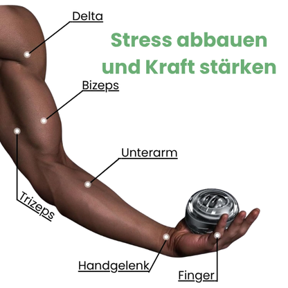 SchwungBall Pro | SchwungGeist™